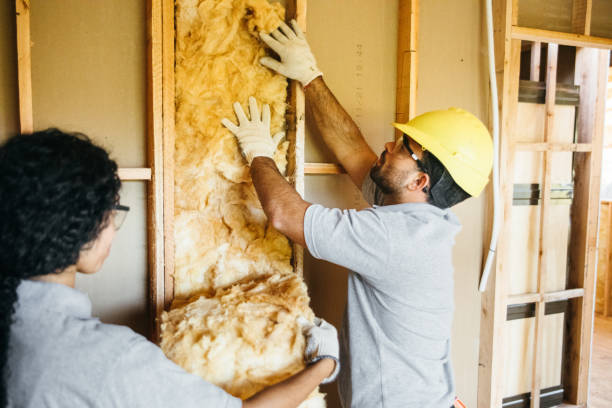 Best Radiant Barrier Insulation  in Lake Grove, NY